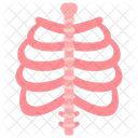 Skeletal System Bones Skeleton Icon