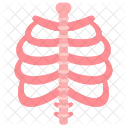 Skeletal system  Icon