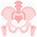 Skeletal System Skeleton Bones Icon