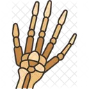 Skeleton Hands Bones Icon