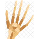 Skeleton Hands Bones Icon