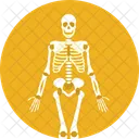 Skeleton Skull Pirate Icon