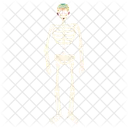 Skeleton Dead Death Icon