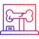 Skeleton Anatomy Fossil Icon