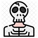 Skeleton  Icon