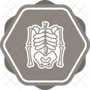 Skeleton Skull Death Icon