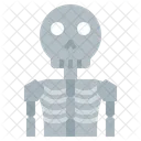Skeleton Anatomy Spooky Icon