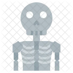 Skeleton  Icon