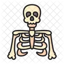 Skeleton Body Part Bones Icon