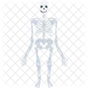 Skeleton Costume Scary Icon
