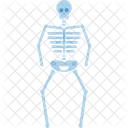 Skeleton Skull Bone Icon