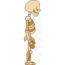Skeleton Side Human Icon
