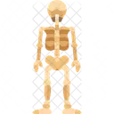 Skeleton Back Human Icon