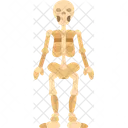 Skeleton Female Human Icon