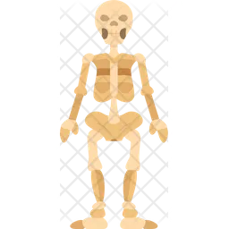 Skeleton  Icon