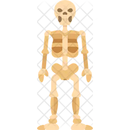 Skeleton  Icon