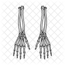 Skeleton Hand Hand Finger Icon
