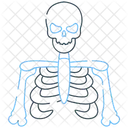 Skeleton Bones Anatomy Icon