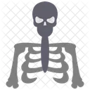 Skeleton Bones Anatomy Icon