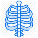 Skeleton Skull Bone Icon