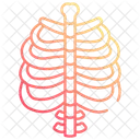 Skeleton Skull Bone Icon