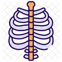 Skeleton  Icon