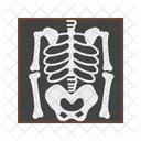 Skeleton Halloween Death Icon