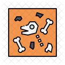 Fossil Nature Skeleton Icon