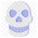 Skeleton Head Anatomy Icône