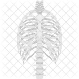 Skeleton Ribs  Icon