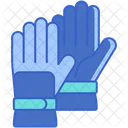 Ski Gloves  Icon