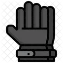Ski Gloves  Icon