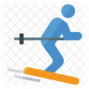 Ski Ski Board Ski Poles Icon