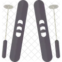 Ski  Icon