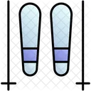 Ski Winter Snow Icon