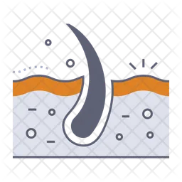 Skin  Icon