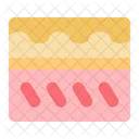 Skin Cosmetic Collagen Icon