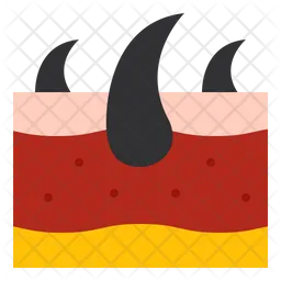 Skin  Icon