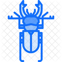 Skin Beetle  Icon