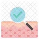 Skin Skin Care Epidermis Icon