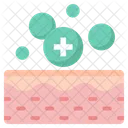 Skin Skin Care Epidermis Icon