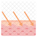 Skin Skin Care Epidermis Icon