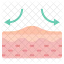 Skin Skin Care Epidermis Icon