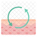 Skin Skin Care Epidermis Icon