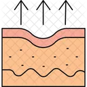 Skin evopration  Icon
