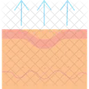 Skin evopration  Icon
