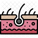Skin  Icon