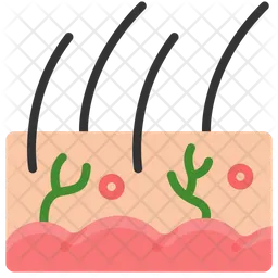Skin  Icon