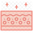 Skin  Icon