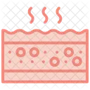 Skin  Icon